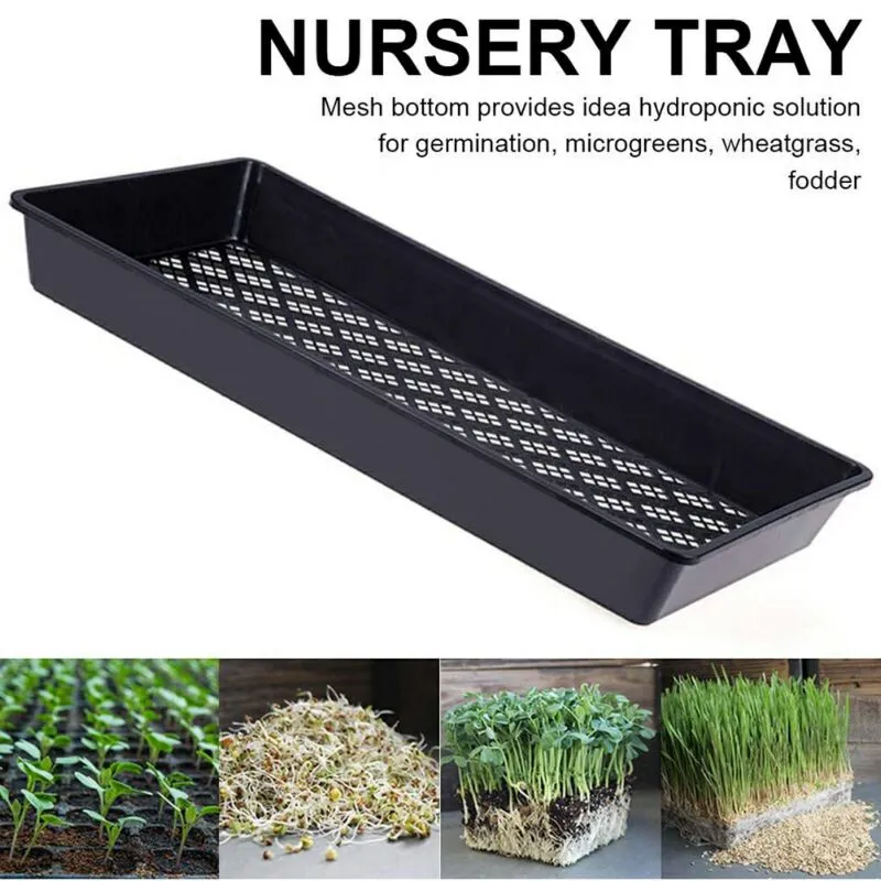 Nursery Seedling Tray