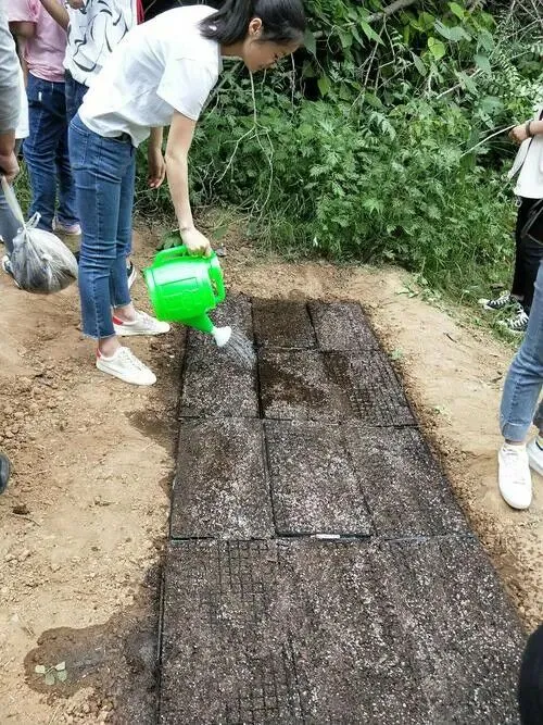 Instructions pour le kit de démarrage pour cultivateur de semis