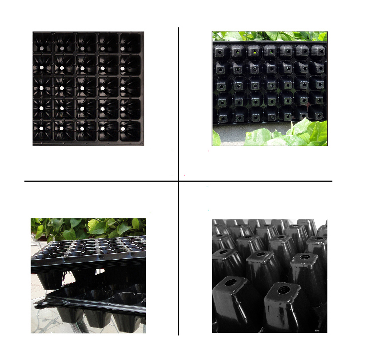 50 holes seed planting trays