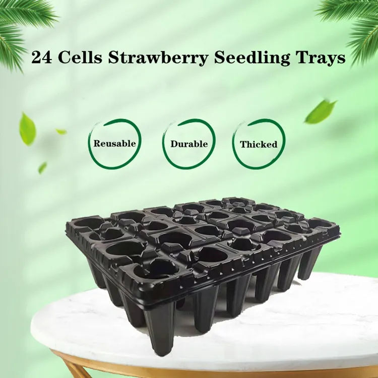 24 خلية زراعة البذور صواني