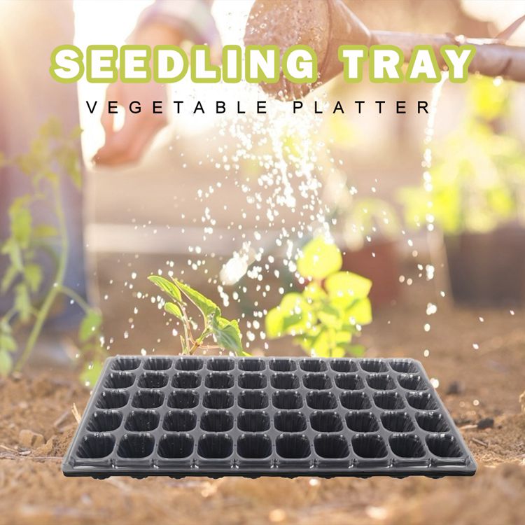 50 Holes Seed Planting Trays