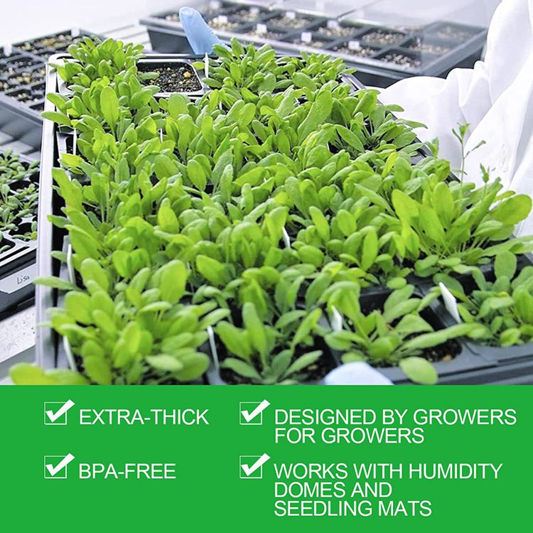 Large planting deep flats tray