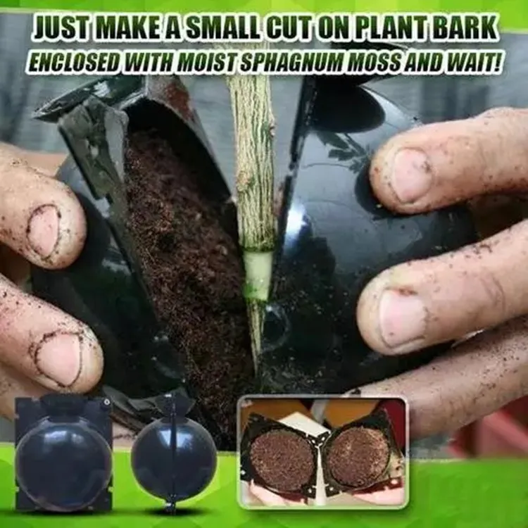 Reusable plant grafting ball