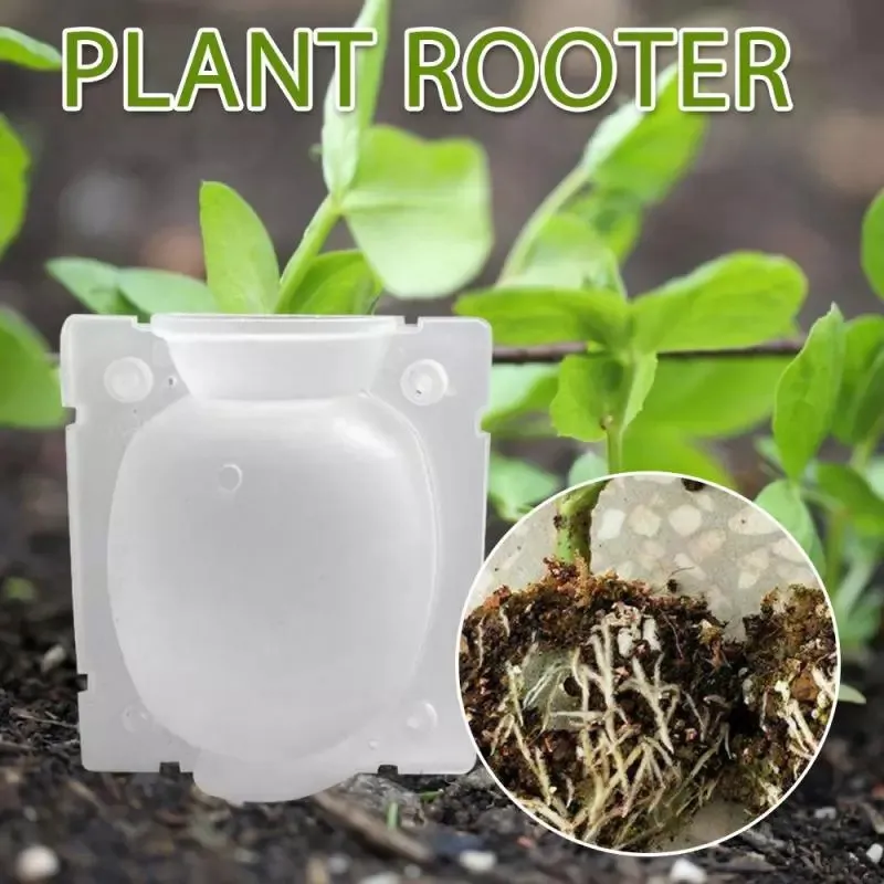 Plastic Plant Root Ball