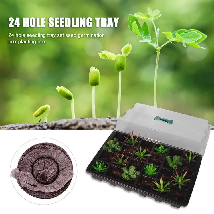 24 Cells Seed Growing Kit