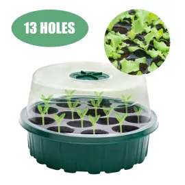 13 Holes Seed Propagator Kit