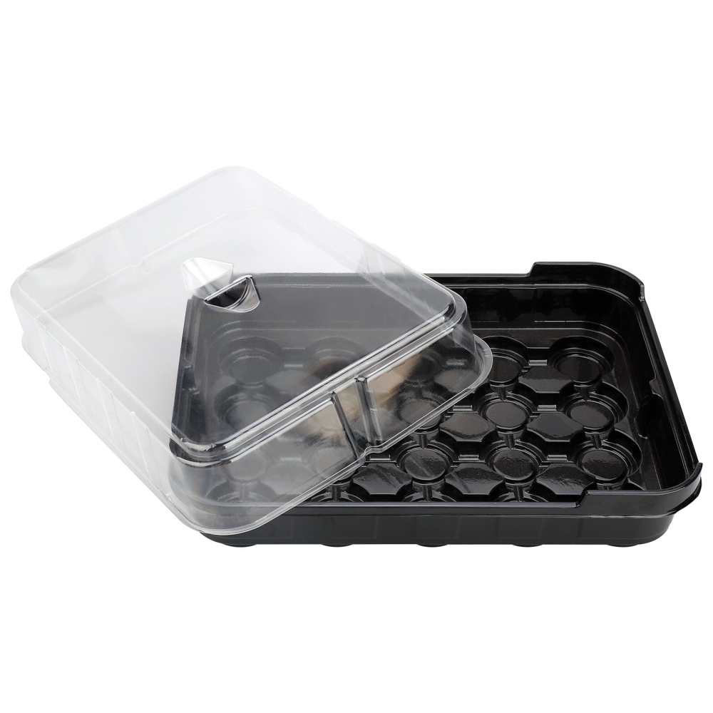 Seed Germination Kit