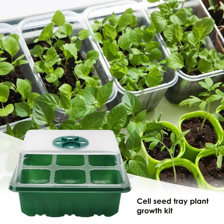 Kits de démarrage pour plantes à 6 cellules
