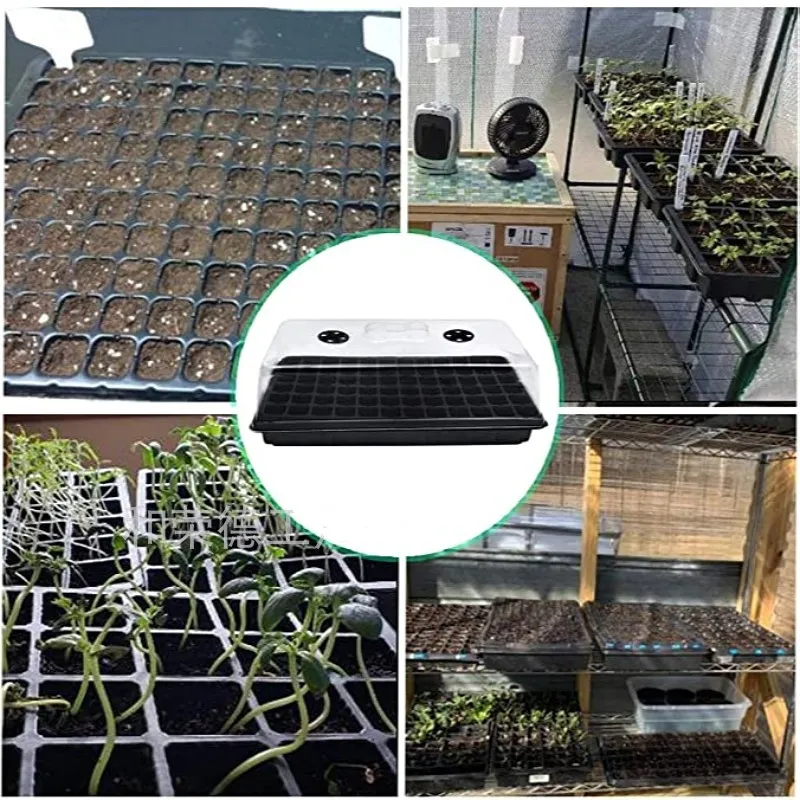 Seed Starter Trays With Dome