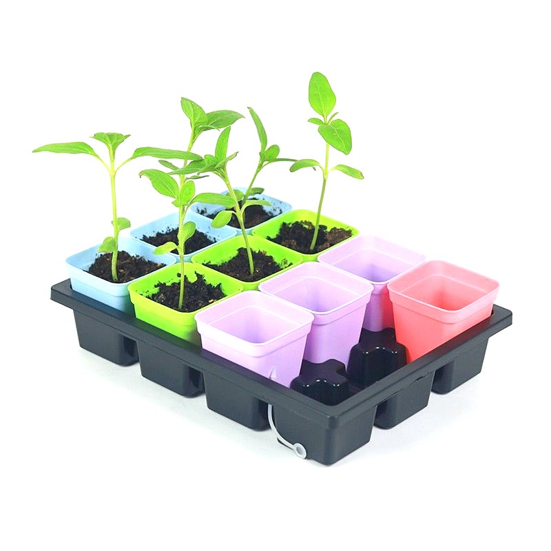 Planting Starter Pot With Trays