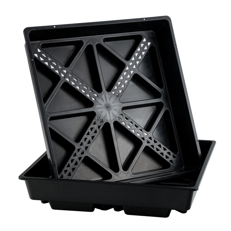 Wheatgrass Growing Tray