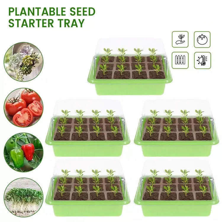 Seed Propagator Trays With Lids