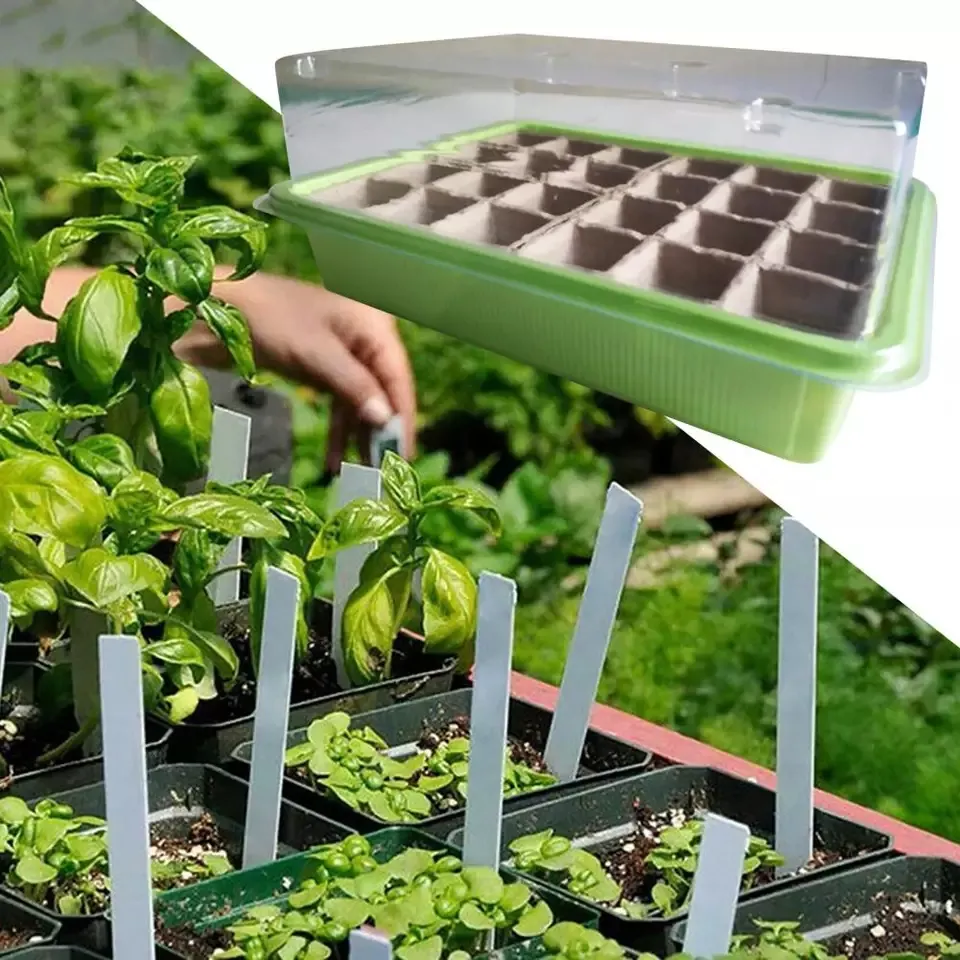 24 Cells Microgreen Plant Starter Kit