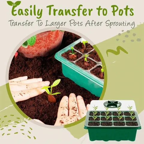Quel est le meilleur plateau de démarrage de semences (meilleur kit de  démarrage de semences) pour le jardinage ?
