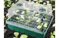 How Long to Leave the Lid on Seed Starter Trays