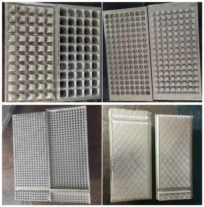 seed tray production making mould Manufacturing Good Price