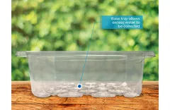 Do Seed Trays Need Drainage Holes? And Should You Put A Flat Saucer Under Them?