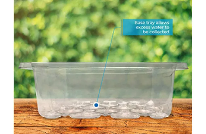 Do Seed Trays Need Drainage Holes? And Should You Put A Flat Saucer Under Them?