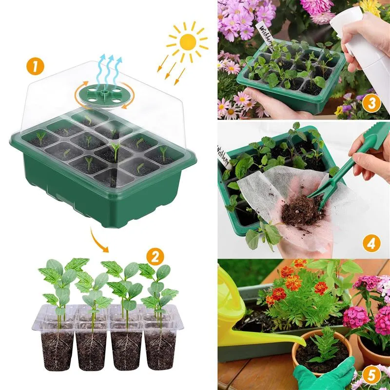 Do Seed Trays Need Drainage Holes? And Should You Put A Flat Saucer Under Them?