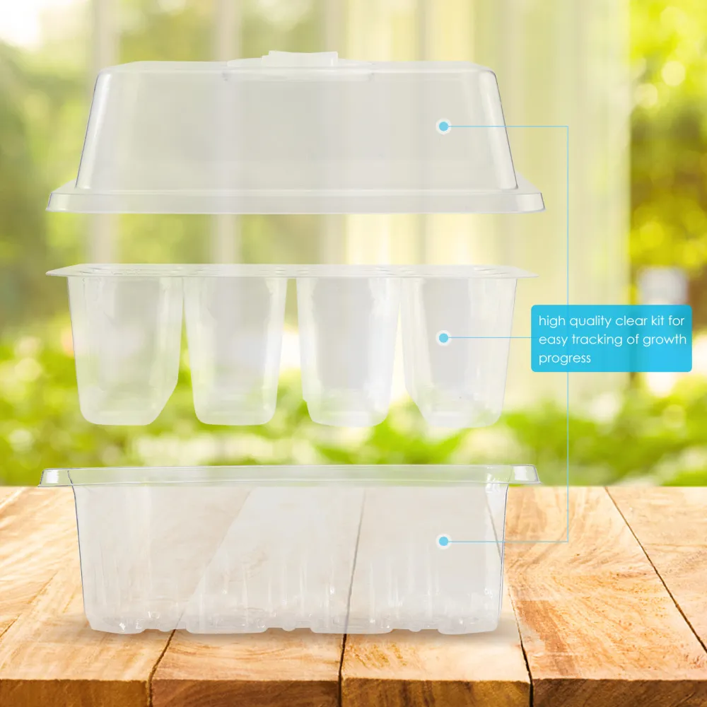Do Seed Trays Need Drainage Holes? And Should You Put A Flat Saucer