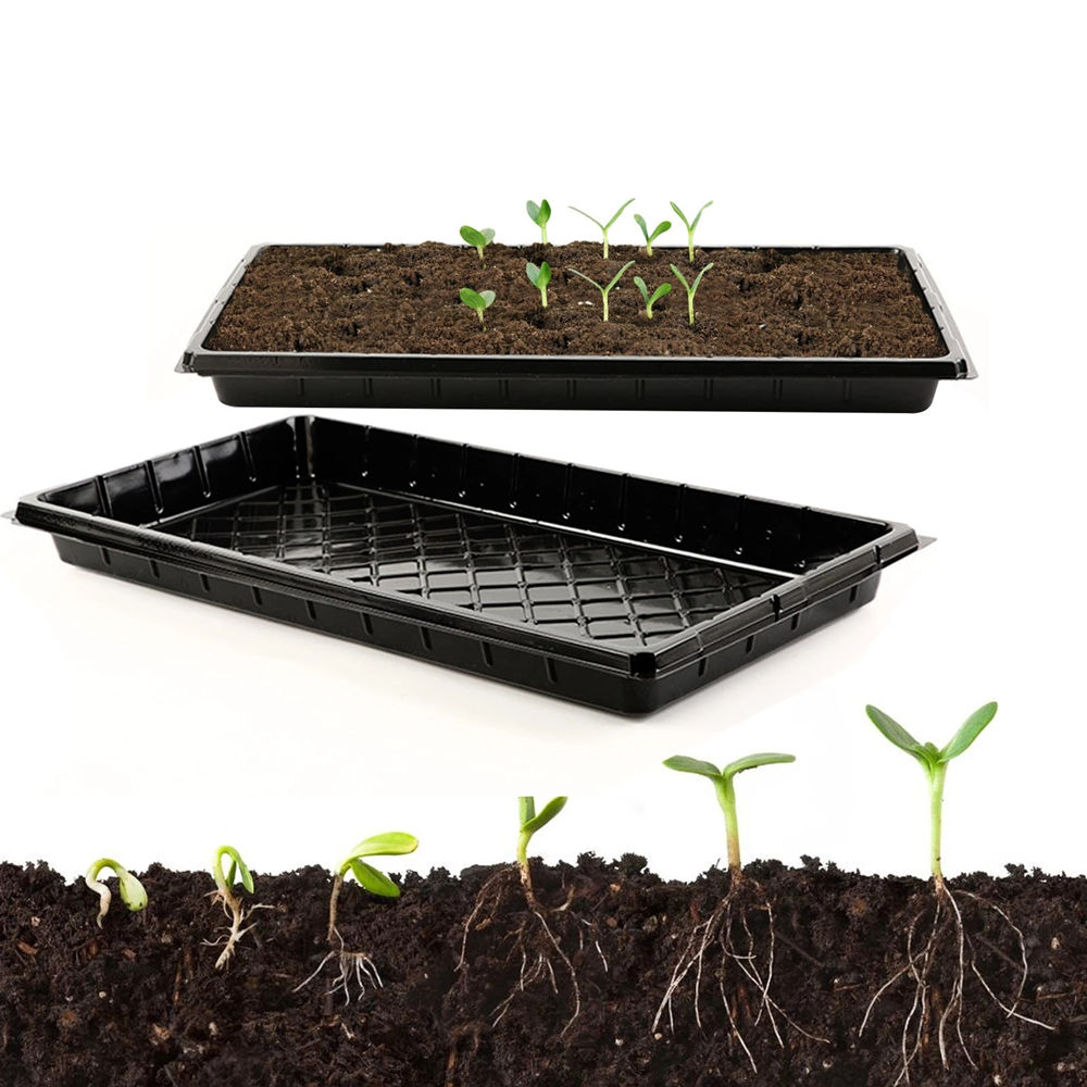 planting seed plug trays