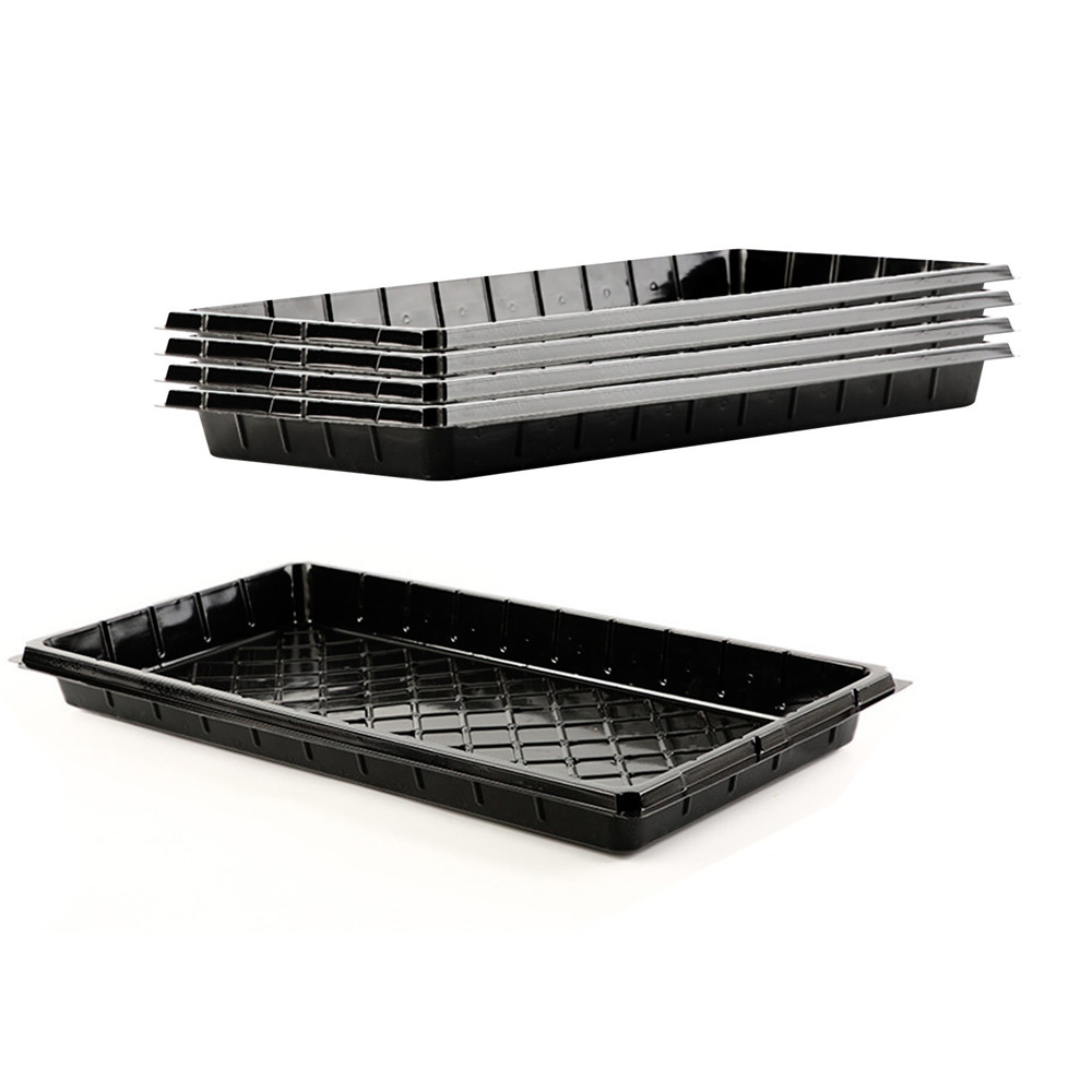 planting seed plug trays