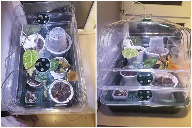 Nursery Indoor Planting Trays Marshine