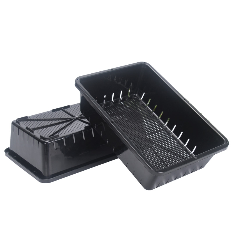 self watering seed seedling trays