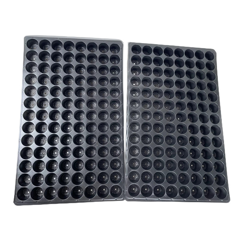 104 Cells Growing Seedlings Trays