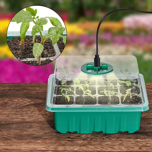 how-to-plant-seeds-in-a-basic-seed-tray