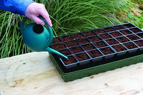 how-to-plant-seeds-in-a-basic-seed-tray