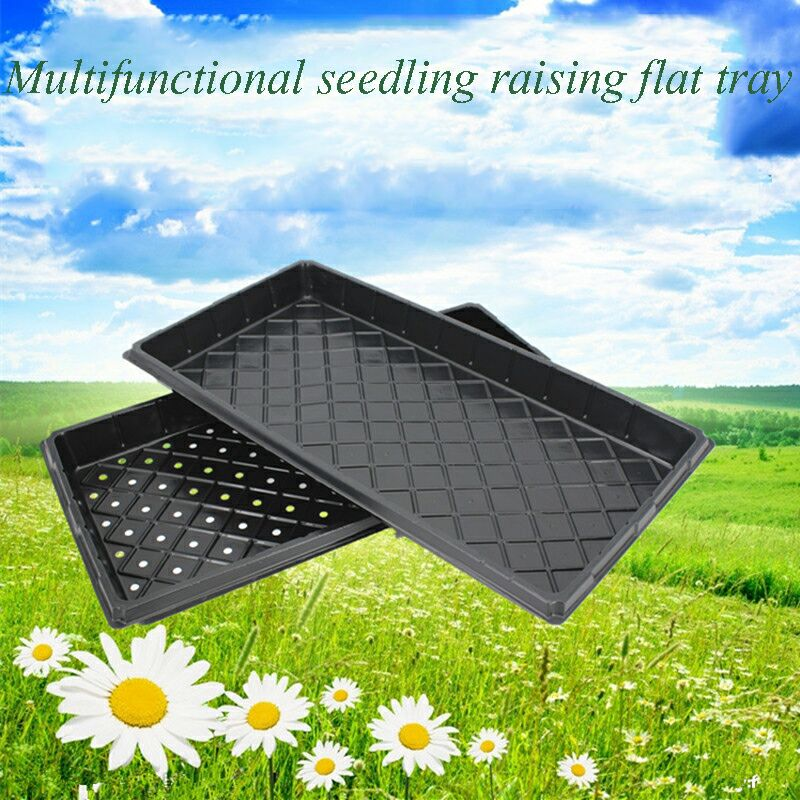 Best Reusable Seed Starting Trays