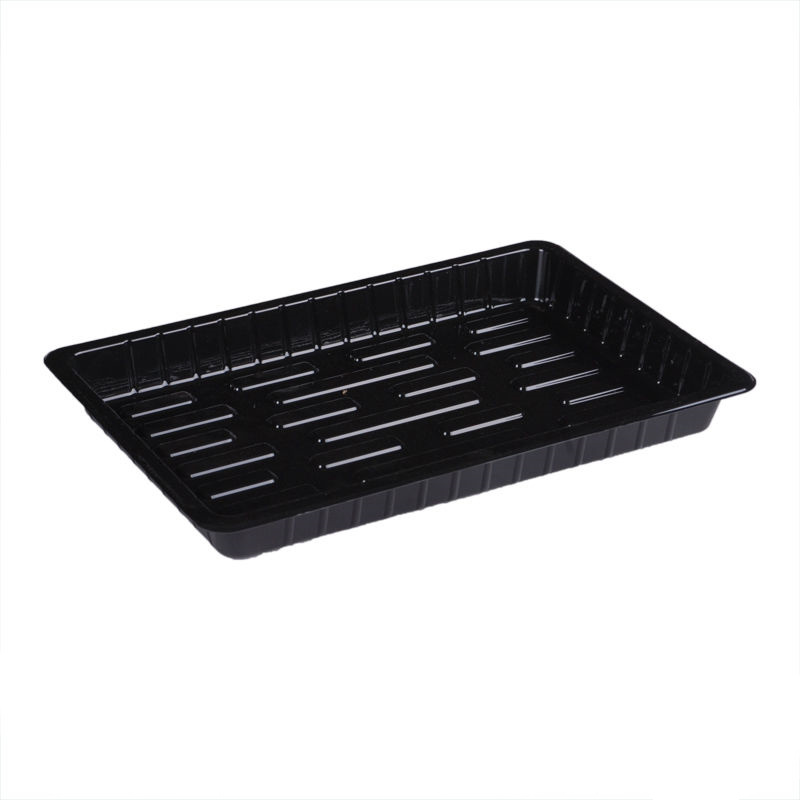 self watering seed seedling trays