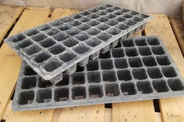 How to Choose The Plastic Seed Trays