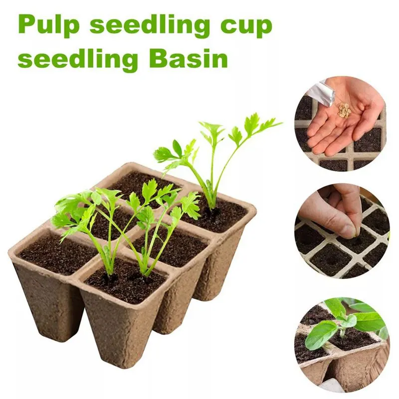 pulp paper seed starting cell trays