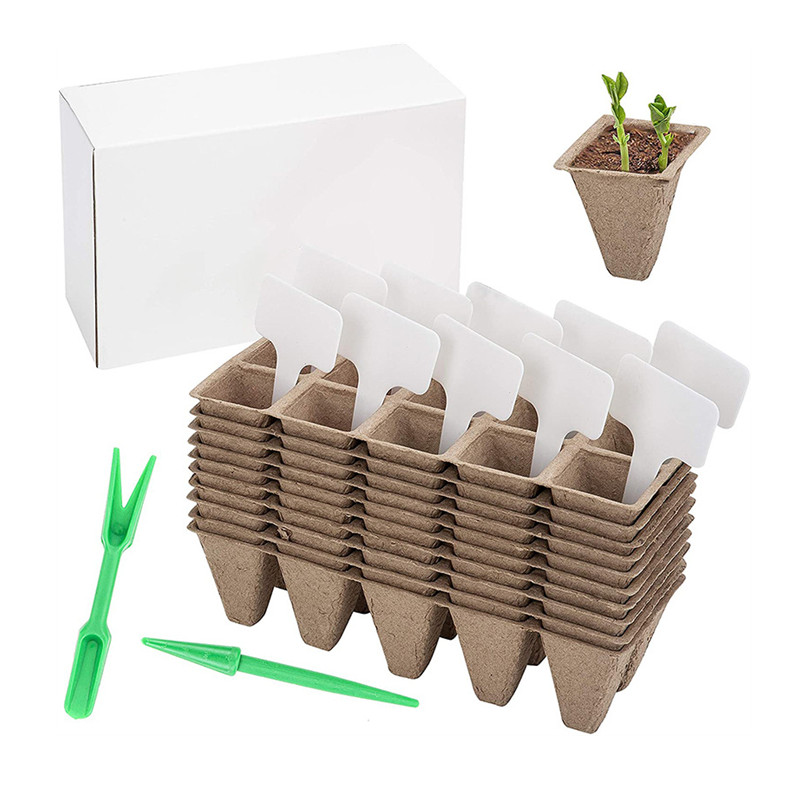 10 Cell Biodegradable Seedling Tray