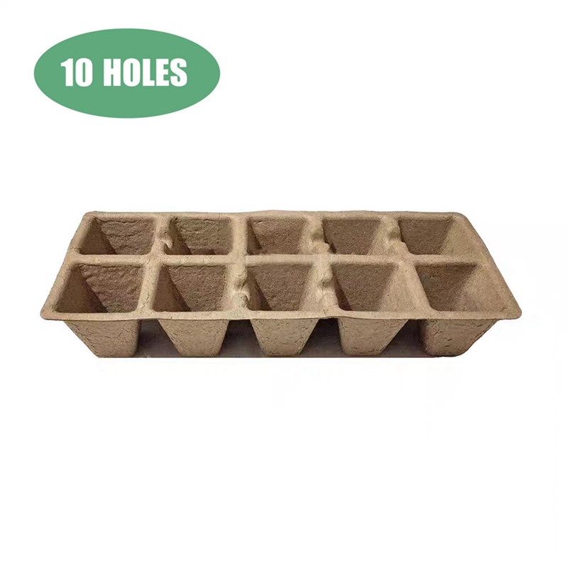 10 Cell Biodegradable Seedling Tray