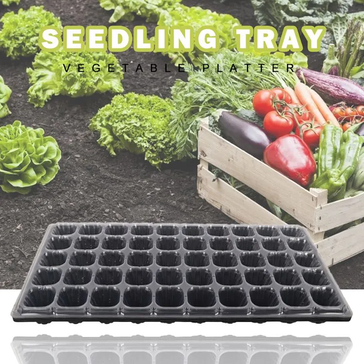 50 Cell Big Size Seedling Tray