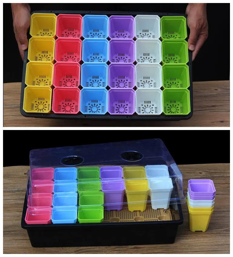 shallow germination planting trays