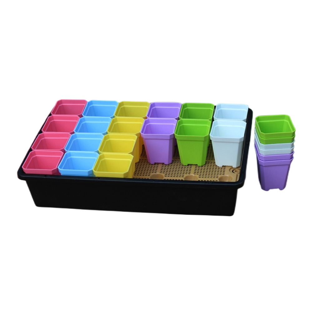 shallow germination planting trays