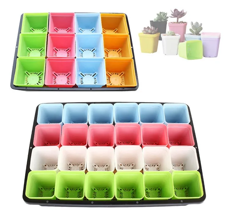 shallow germination planting trays