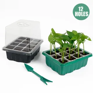Seed Germination Containers With Lid