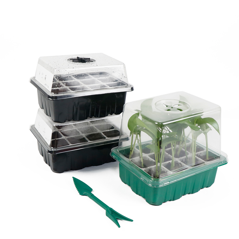 Seed Germination Containers With Lid