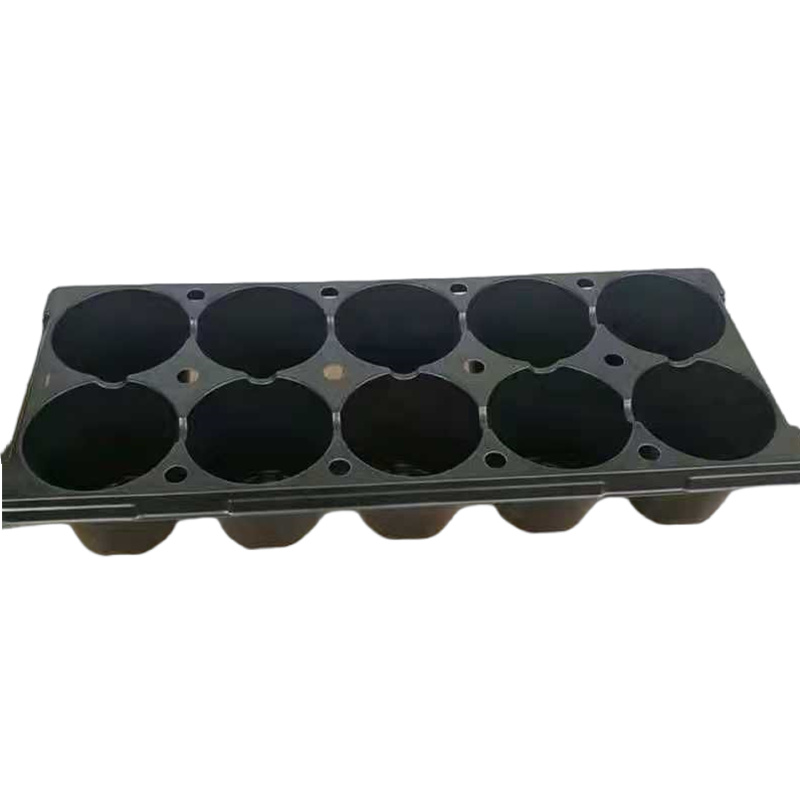10 Cells Deep Root Seed Starting Trays