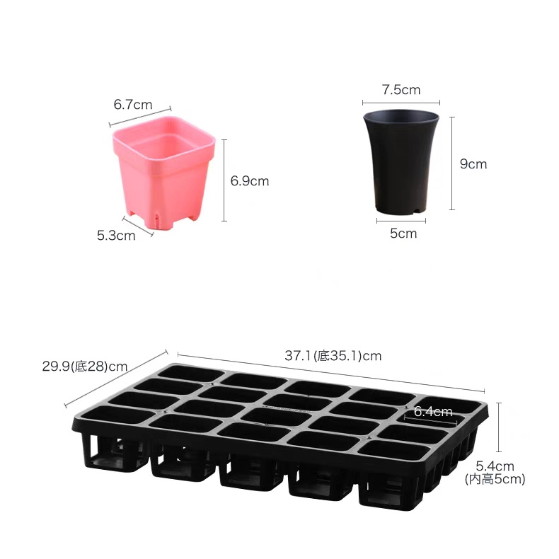 Indoor starting seeds in trays