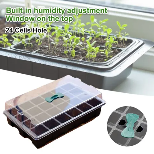 Tips for Successful Germination in Plastic Seedling Trays