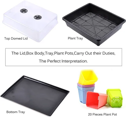 The 5 Best Seed Sprouter Trays