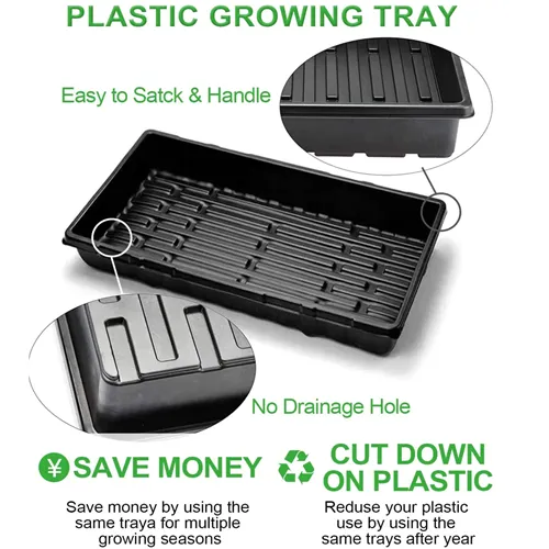 The 5 Best Seed Sprouter Trays