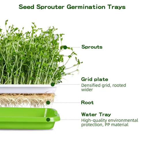 How to Sprout Seeds In A Tray Using Seedling Trays and Sprout Trays