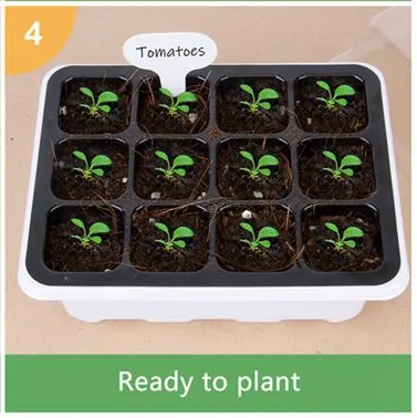 How to Starting Your Gardening Life with Plastic Seed Trays?